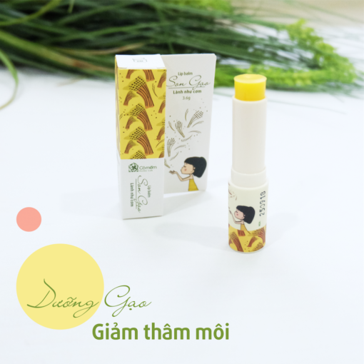 _trans_12-son-gao-01-510x510