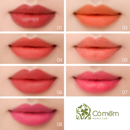 _trans_bang-swatch-son-1000x1000px-02-1-510x510